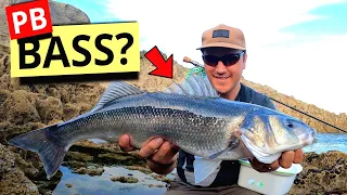 She ENGULFED it!- UK shore bass fishing with lure and fly!