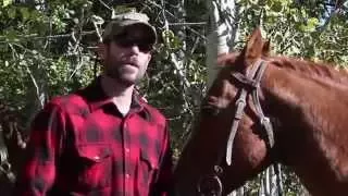 Tips for Hunting with Horses