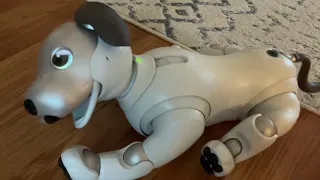 Dreaming Aibo ERS-1000