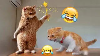 Funniest Animals 2023 😂 Funniest Cats and Dogs 😺🐶 #90