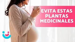 INFUSIONES PROHIBIDAS en el EMBARAZO 🤰🏻🌿❌ ¡Son ABORTIVAS!