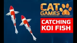 CAT GAMES - 🐟 CATCHING KOI FISH (ENTERTAINMENT VIDEOS FOR CATS TO WATCH) 60FPS