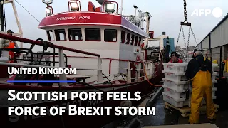 'Careful what you wish for': Scottish port feels force of Brexit storm | AFP