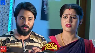 Gowramma Serial Promo - 19th November 2021 - Gowramma Telugu Serial - Mallemalatv