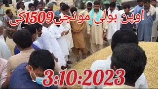 اوپن بولی سپر 1509کی غلہ منڈی خانقاہ ڈوگراں 3:10:2023