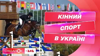 Кінний спорт: українська збірна змагатиметься за місце у фіналі відбору до Олімпійських ігор