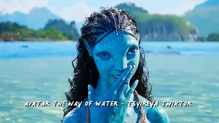 Avatar the way of water - Tsyireya twixtor clips in 4k HD