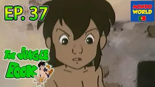 O LIVRO DA SELVA série animada | em Português | desenhos animados para crianças | episódio 37