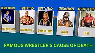 WWE Famous Wrestlers Death Cause