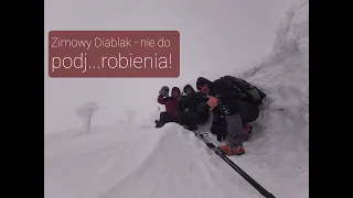 Zimowy Diablak - nie do podj...robienia!, Babia Góra (1725 m n.p.m.), Beskid Żywiecki, 26.01.2021 r.