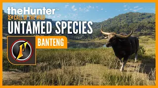 Untamed Species: Banteng with Flinter | theHunter: Call of the Wild
