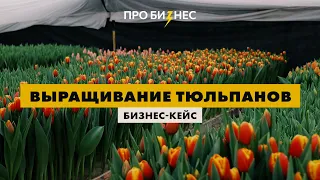 Выращивание тюльпанов. Бизнес-Кейс