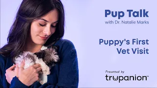 Prepare For Your Puppy's First Vet Visit: Trupanion Pup Talk