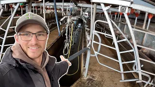 New Job Revealed! Dairy Farming!