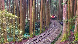 Alishan Forest Railway, cargo train (Feb.6.2018)