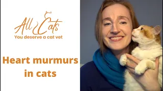 Heart murmurs in cats