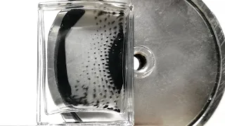 Slow Motion of Ferrofluid Vibrations | Magnet Tricks