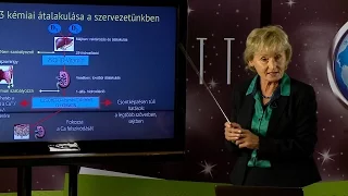 Dr. Toldy Erzsébet: A D-vitamin jelentősége az egészség megtartásában és a betegség gyógyításában