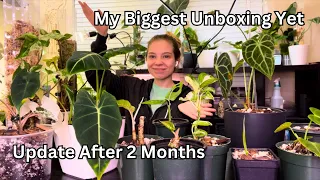 Biggest Unboxing Plants Update