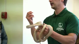 У нас можно трогать змей🐍