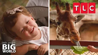 Jackson and Lilah Feed Giraffes | Little People Big World | TLC