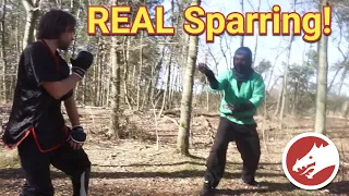 EPIC sparring! Kung Fu vs SILAT?