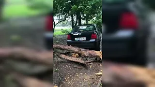 Ураганный ветер в Волгодонске валит деревья на машины и ломает остановки