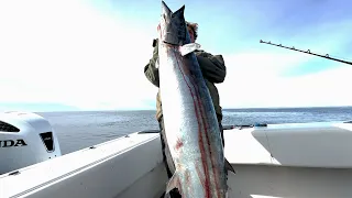 140 Miles Offshore Fishing for MASSIVE Fish (Galveston Texas)