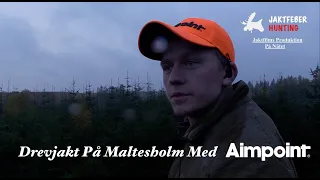 "Drevjakt På Maltesholm Med Aimpoint" (Följ med jaktfeber på drevjakt i Skåne)