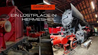 Dampfloks - mit Volldampf aufs Abstellgleis | steam trains