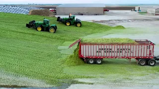 Packing 36,800 tons of Corn Silage