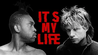 Bon Jovi feat. Dr. Alban - It's My Life (mashup video)