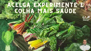 ACELGA:  EXPERIMENTE seus Benefícios. Dr Prof Nelson Marques