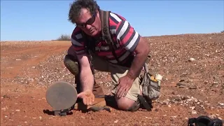 Gold Prospecting the Goldfields of Western Australia. 2019.