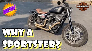 4 Reasons Why I Bought A Sportster / Harley Davidson Sportster Iron 883