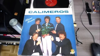 CALIMEROS  BLAUE ROSEN   LP   12  titel