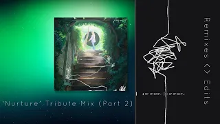 Porter Robinson - 'Nurture' Tribute Remixes - Edits Mix (Part 2 Finale)