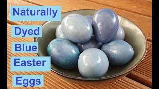 How to Dye Easter Eggs with Red Cabbage - Naturally Dyed Blue Eggs