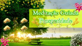 Atrair RIQUEZA e PROSPERIDADE, meditação guiada para abundância, ativar fluxo do DINHEIRO MD7