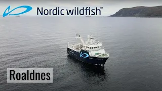 Nordic Wildfish - Roaldnes