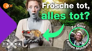 Darum hängt dein Leben von Fröschen ab! | Terra X