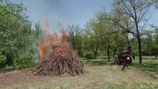 Тактичні навчання з гасіння лісових пожеж