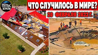 Катаклизмы за день 20 ФЕВРАЛЯ 2022! Пульс Земли! #flooding #снегопад катаклизмы сегодня наводнение