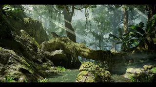 Predator Ambience in the Jungle [4 Hours]