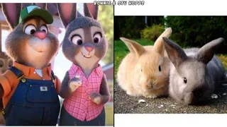 Zootopia Characters in Real Life | World Express Pro