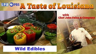 Native America 3: Native Plant Foods | A Taste of Louisiana with Chef John Folse & Company (2006)