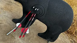 EZ-V bow sight shoot and review