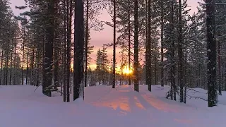 Russian-Arkhangelsk Winter | A Visual Symphony of Snow and Serenity