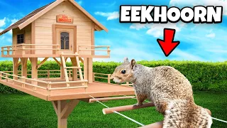 Wij Bouwen Een Mega Eekhoornhuis!