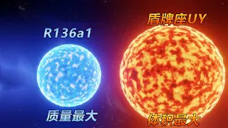 质量最大的恒星R136a1和体积最大的恒星盾牌座UY相撞会怎样？